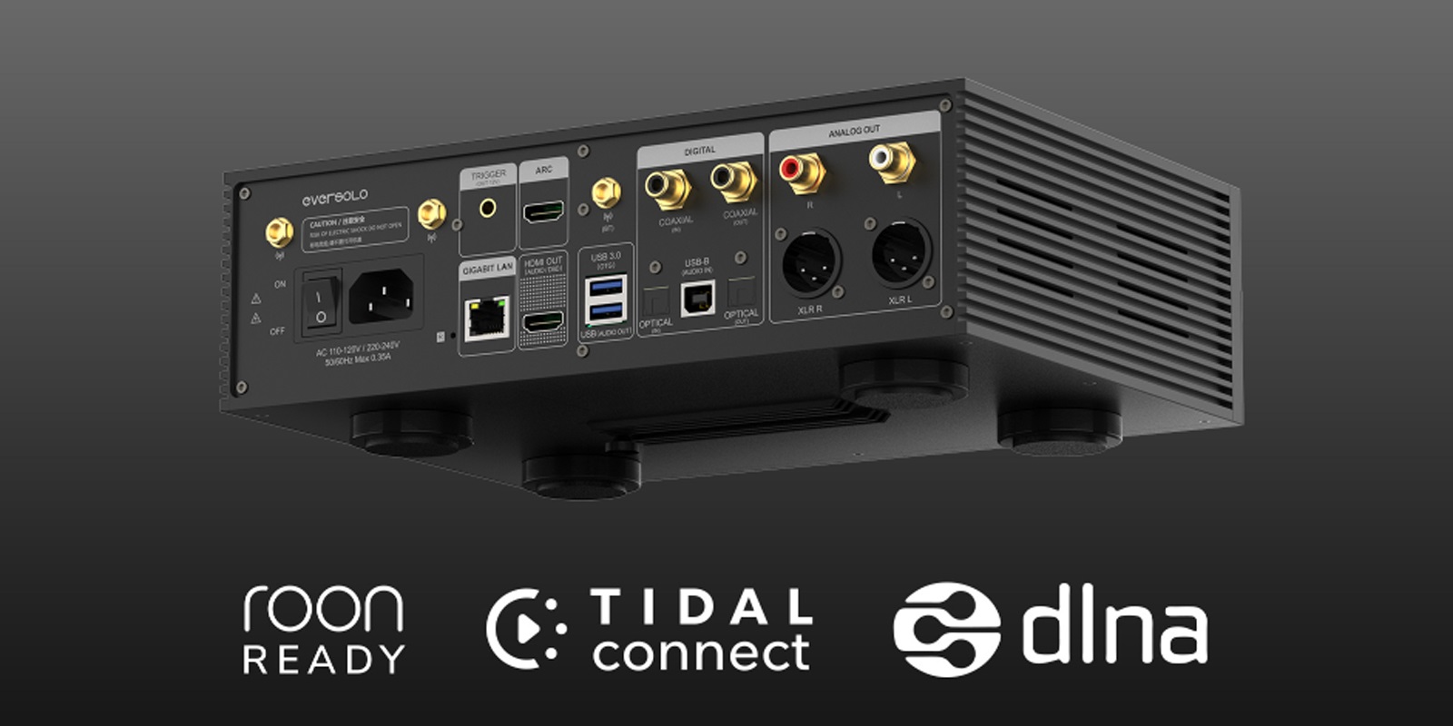 Eversolo DMP-A6 Gen 2: The ultimate high-fidelity streamer 8 20250107154002 2025 01 07 EversoloDMP